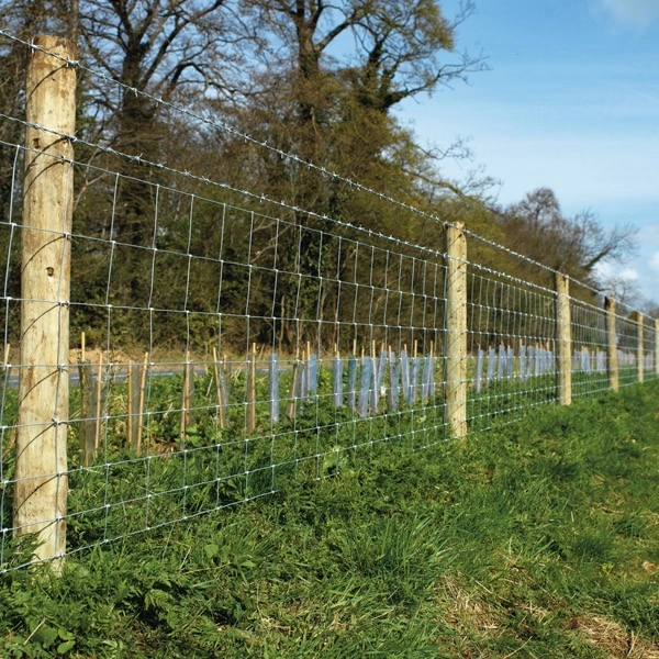 Rouleau de grillage noué pour élevage et clôtures agricoles